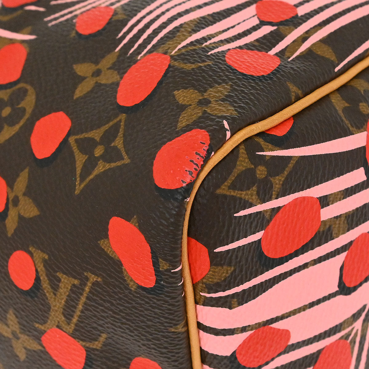 Louis Vuitton Monogram Jungle Dot Speedy 30 - photo 7