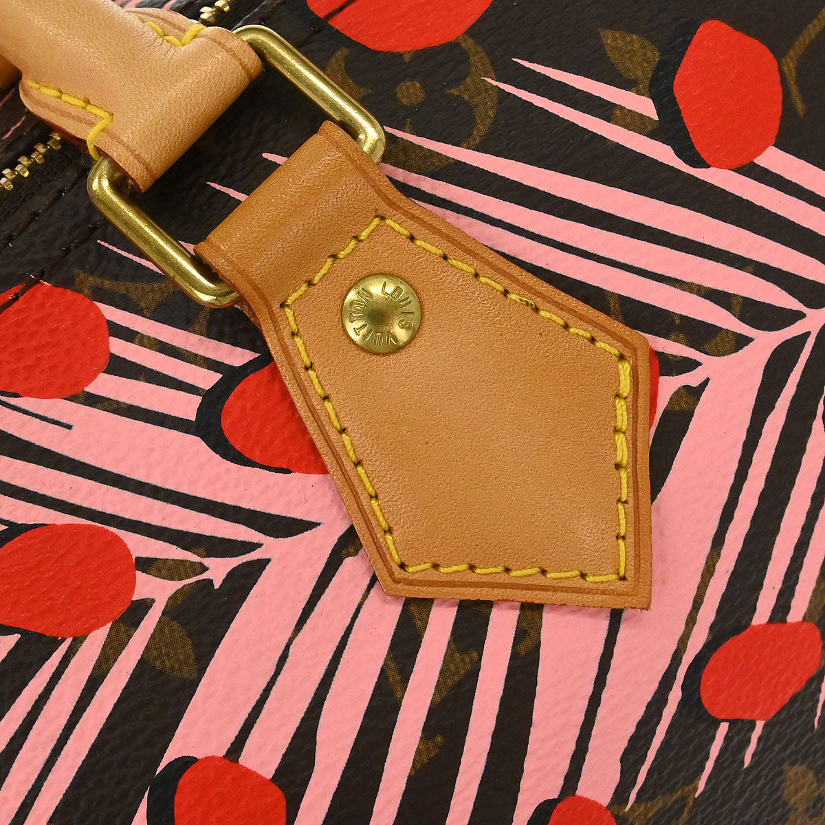 Louis Vuitton Monogram Jungle Dot Speedy 30 - photo 9