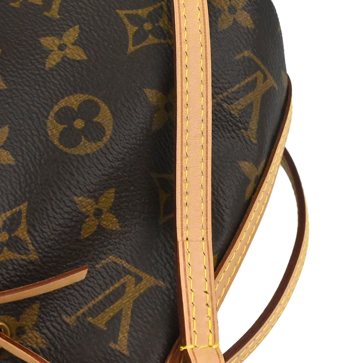 Louis Vuitton Monogram Nano Noe Shoulder - photo 6
