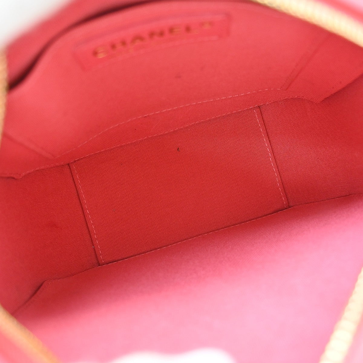 Chanel Pink Lambskin Camera Bag Mini