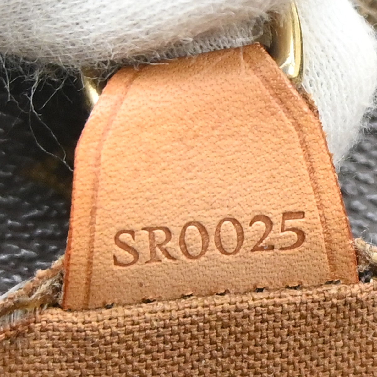 Louis Vuitton Monogram Vavin GM Tote Handbag