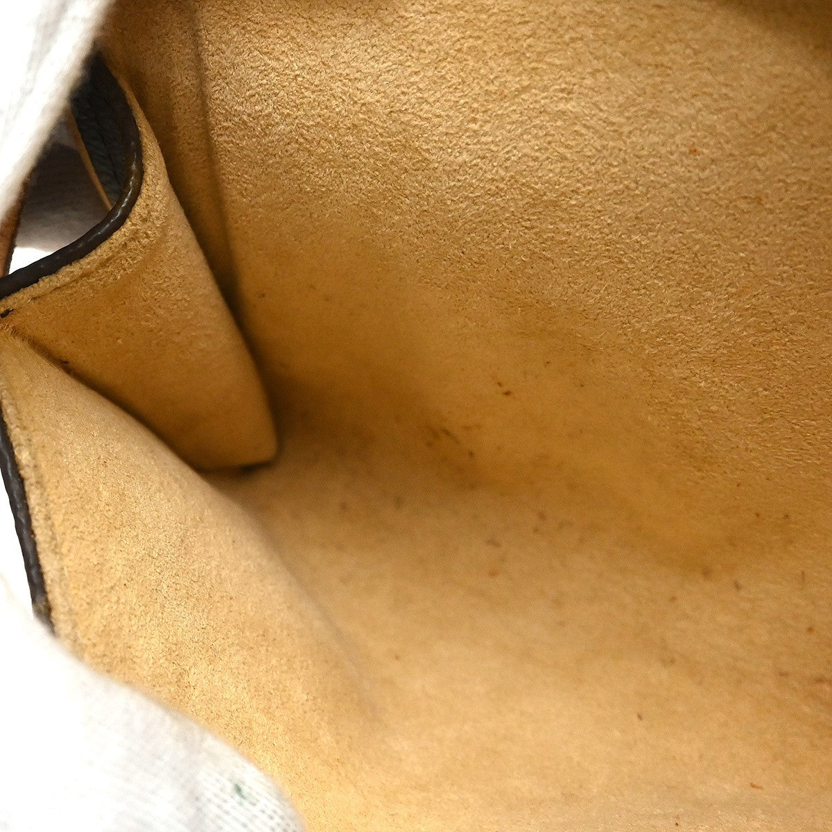 Louis Vuitton Pochette Twin PM Shoulder Bag
