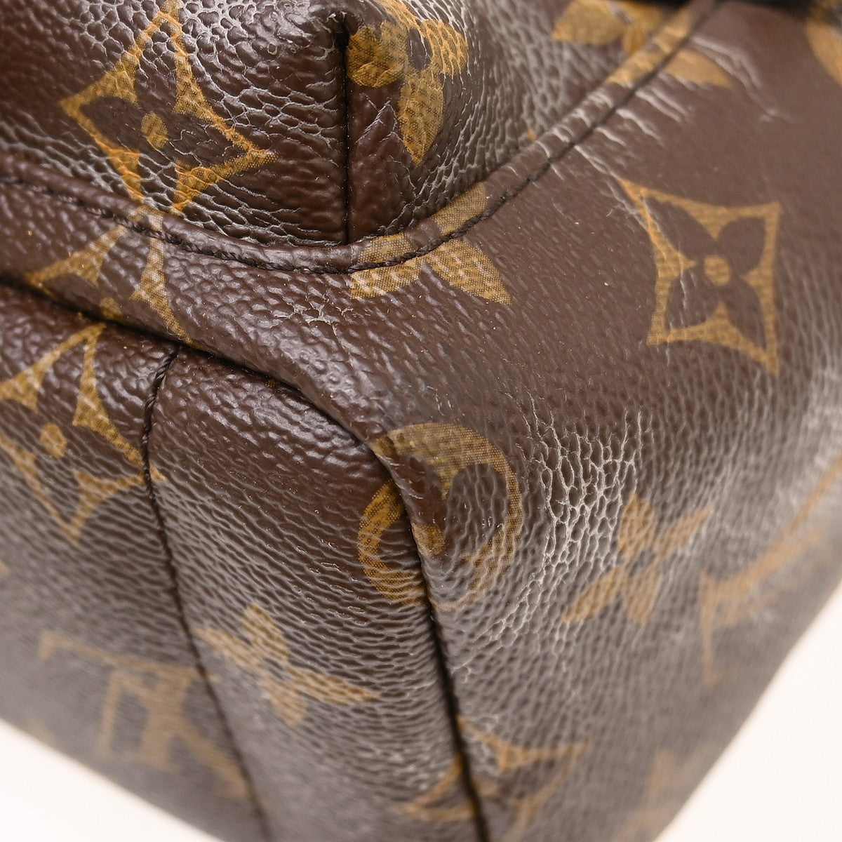 Louis Vuitton Palm Springs Mini Backpack