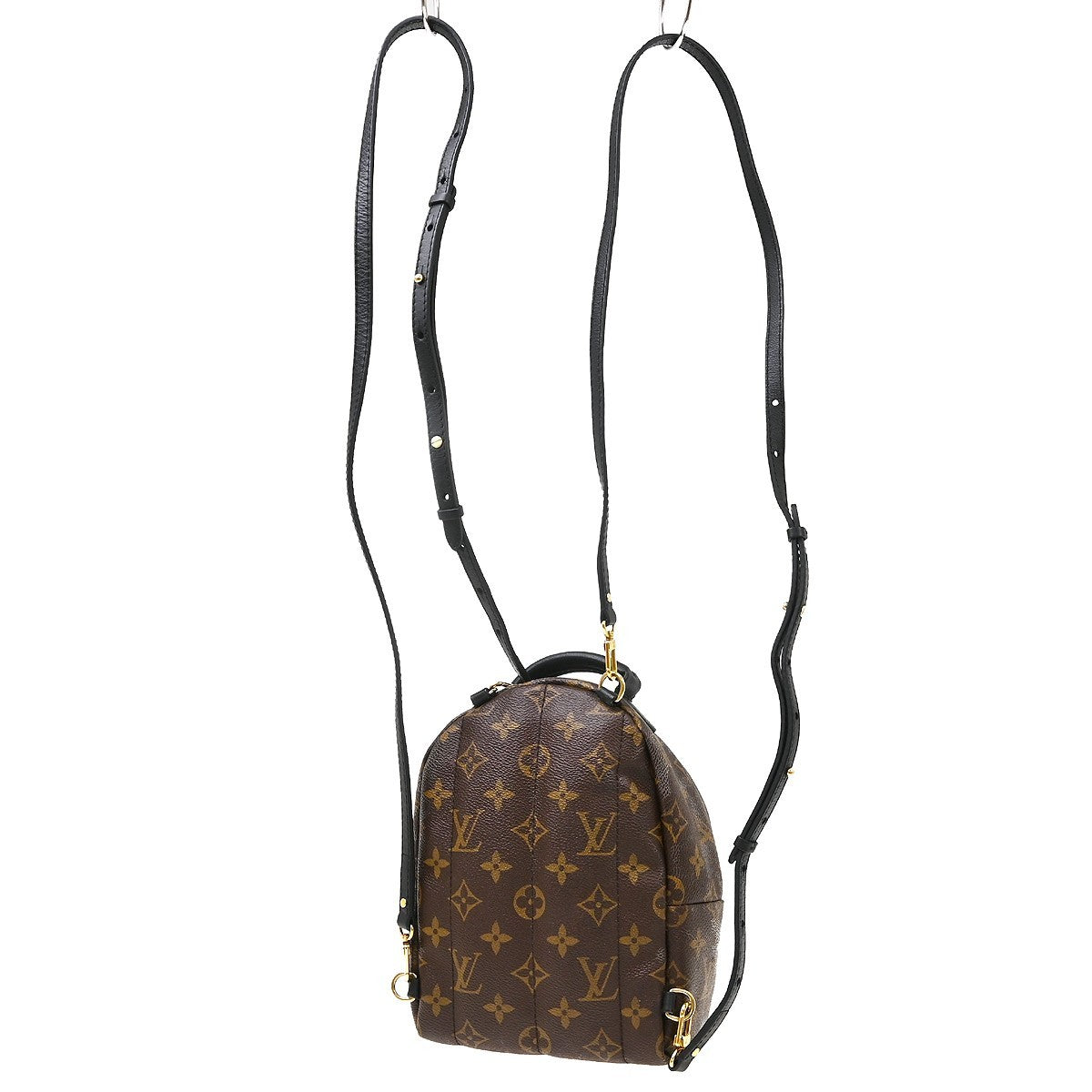 Louis Vuitton Palm Springs Mini Backpack