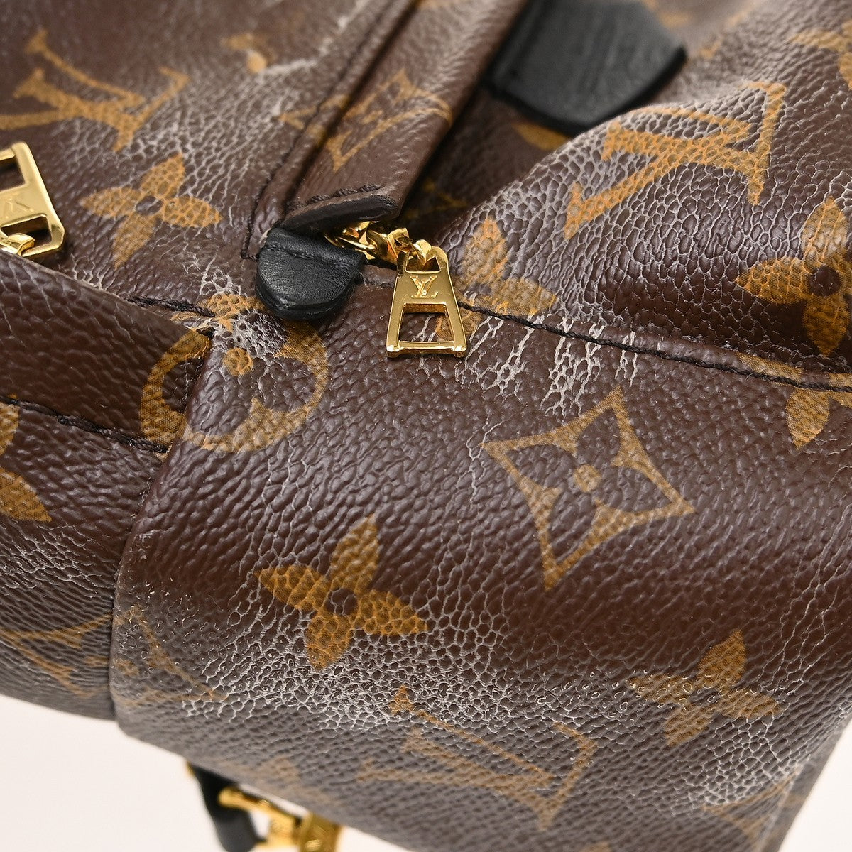 Louis Vuitton Palm Springs Mini Backpack