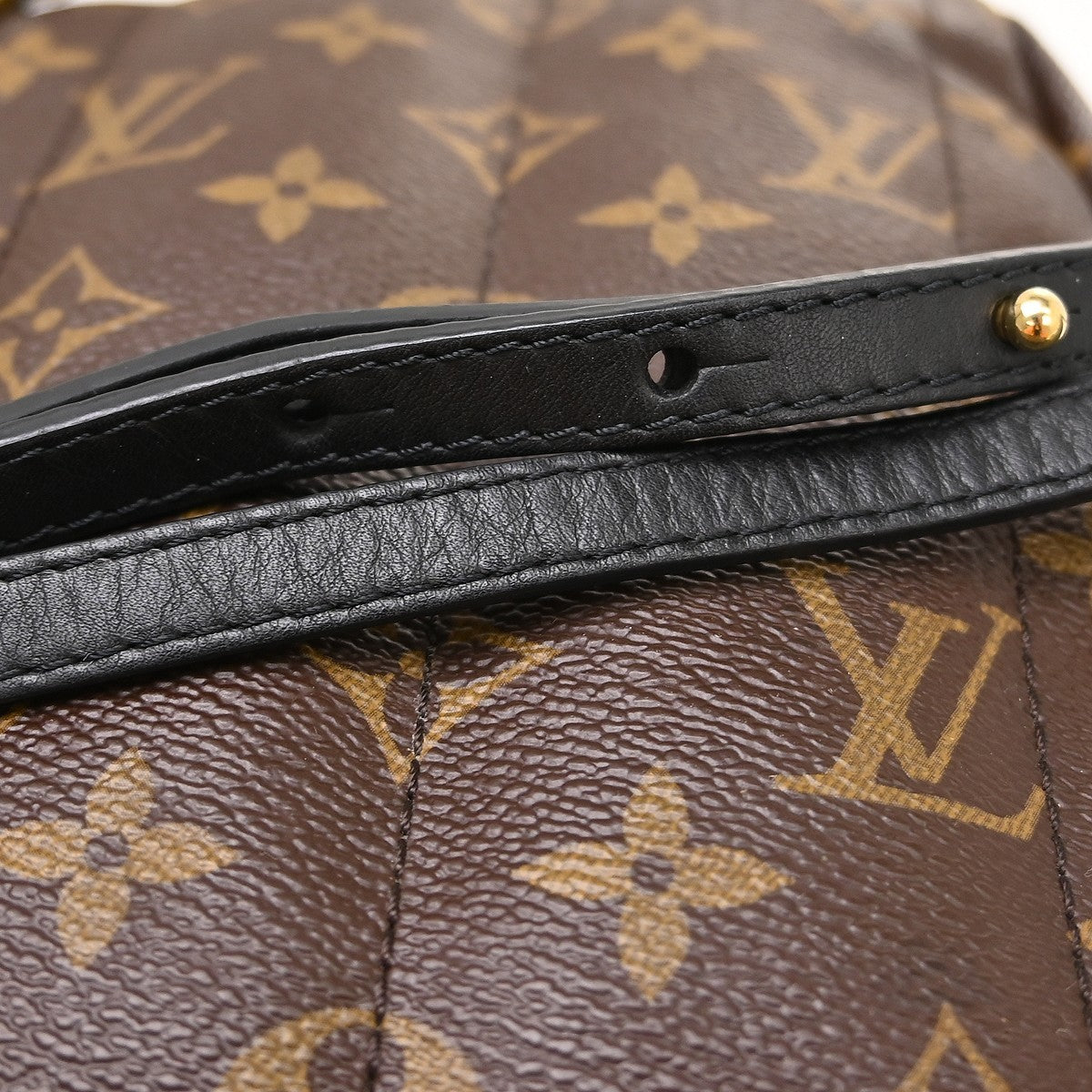 Louis Vuitton Palm Springs Mini Backpack