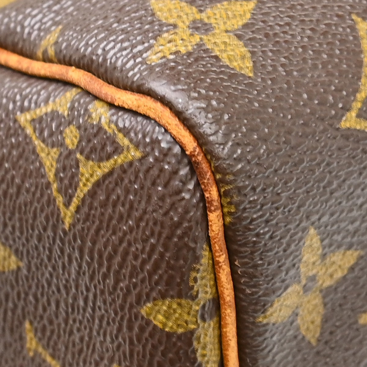 Louis Vuitton Speedy 30 Handbag Monogram Canvas
