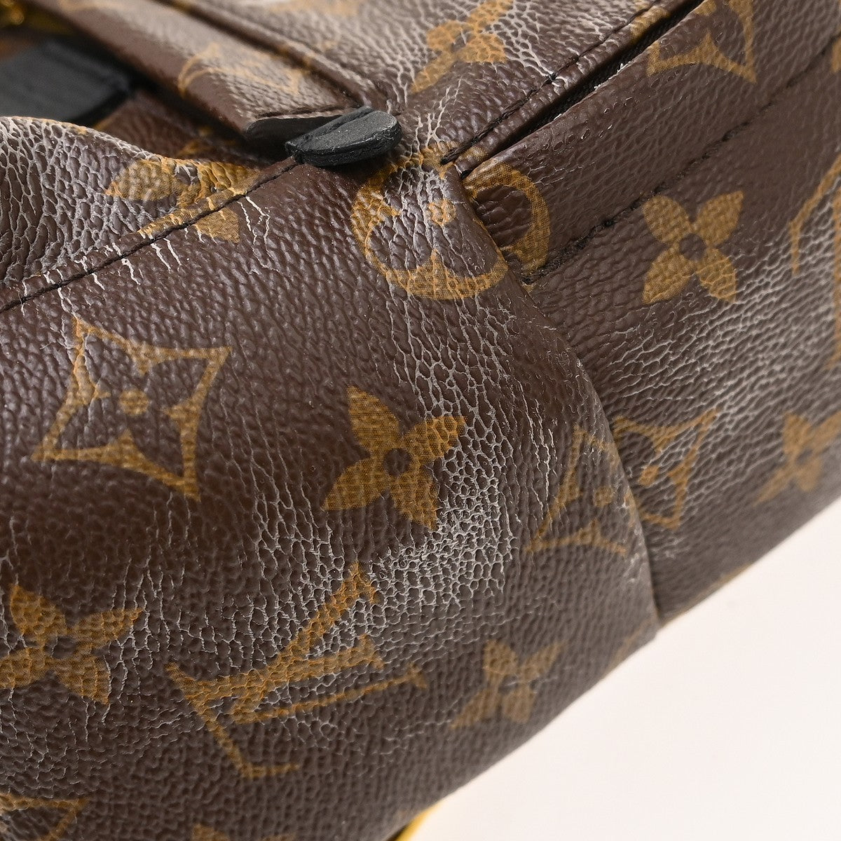 Louis Vuitton Palm Springs Mini Backpack