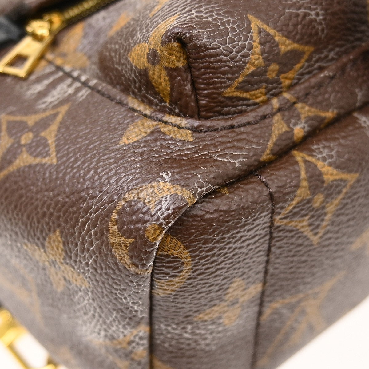 Louis Vuitton Palm Springs Mini Backpack