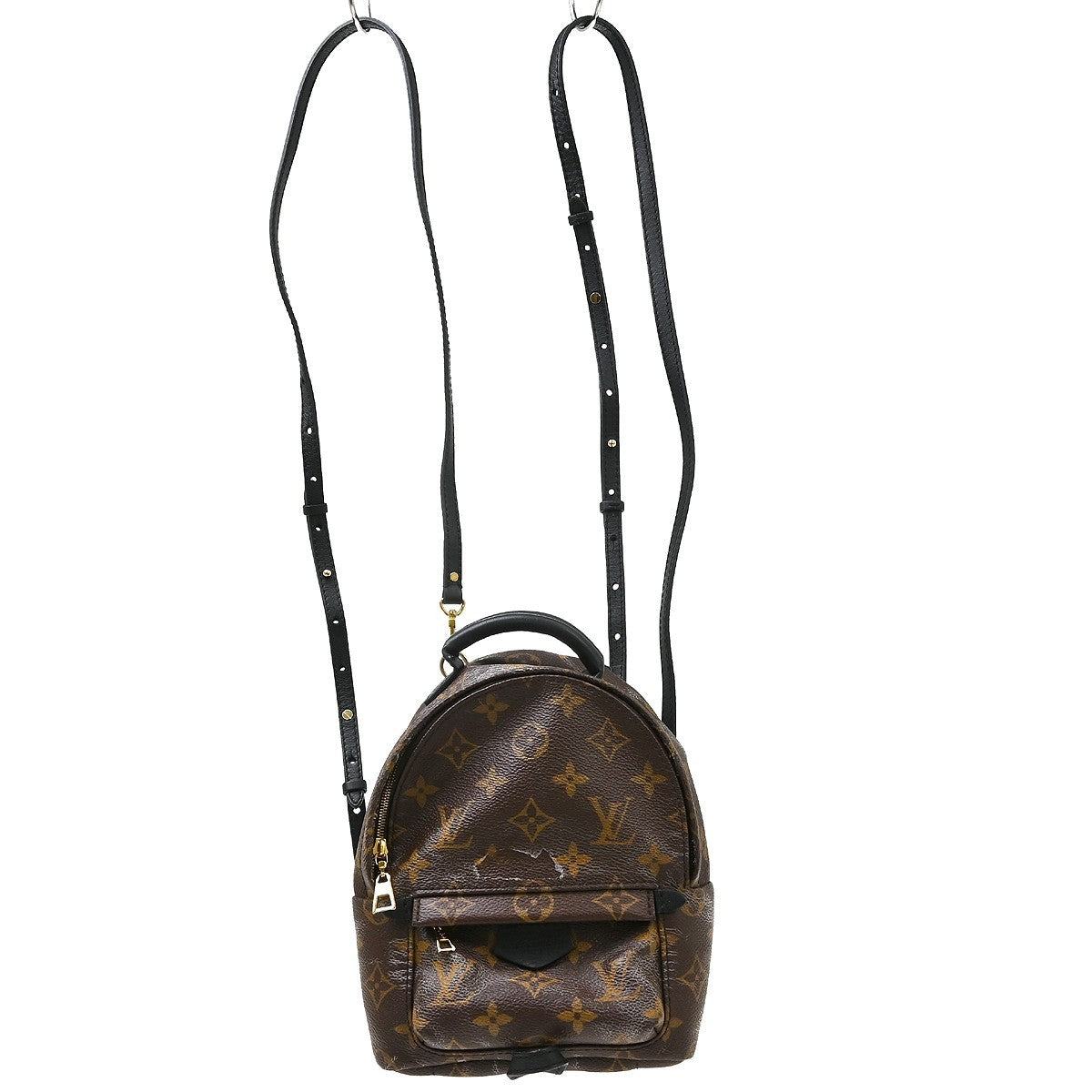 Louis Vuitton Palm Springs Mini Backpack