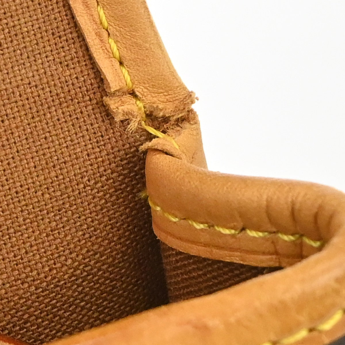 Louis Vuitton Monogram Sologne Shoulder Bag