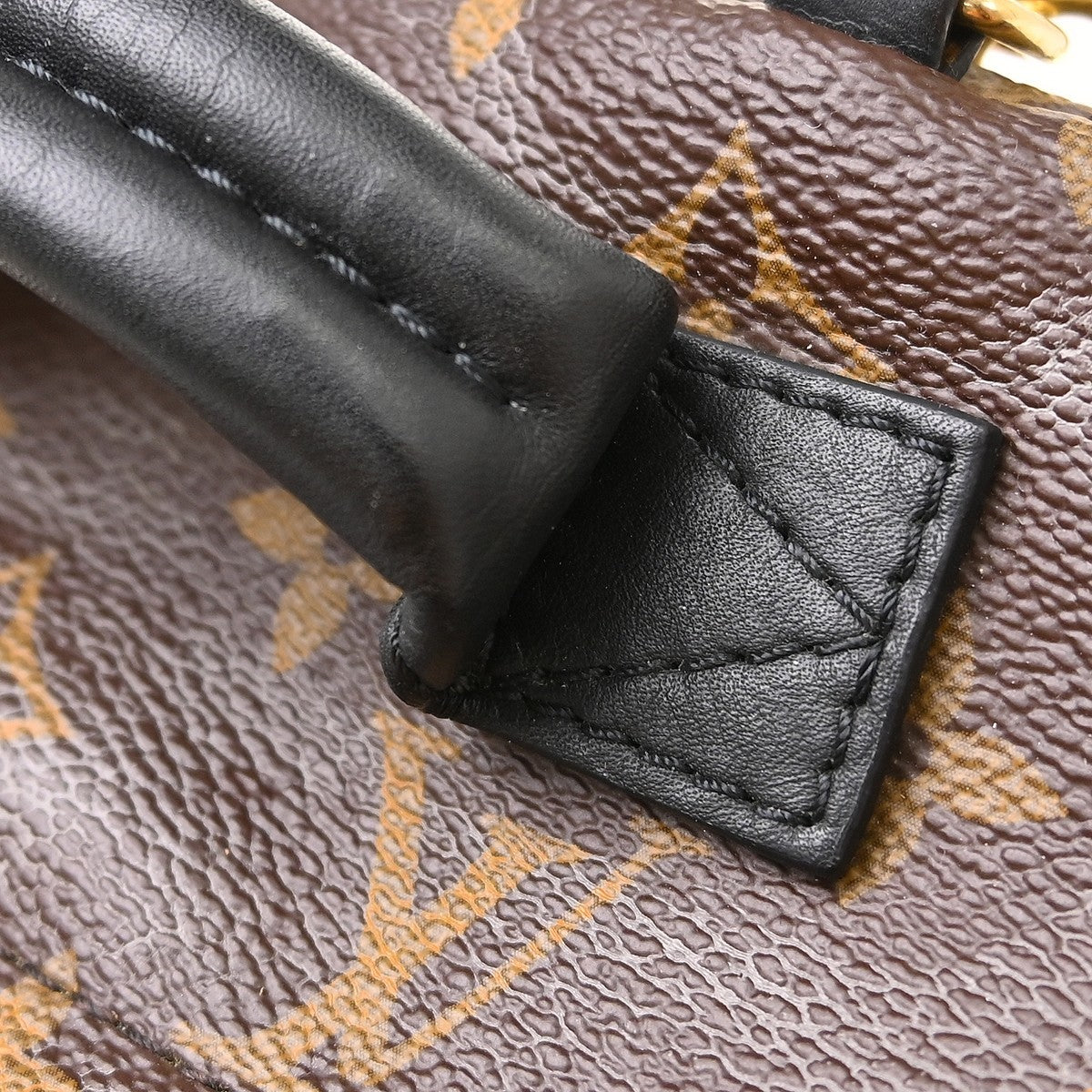 Louis Vuitton Palm Springs Mini Backpack