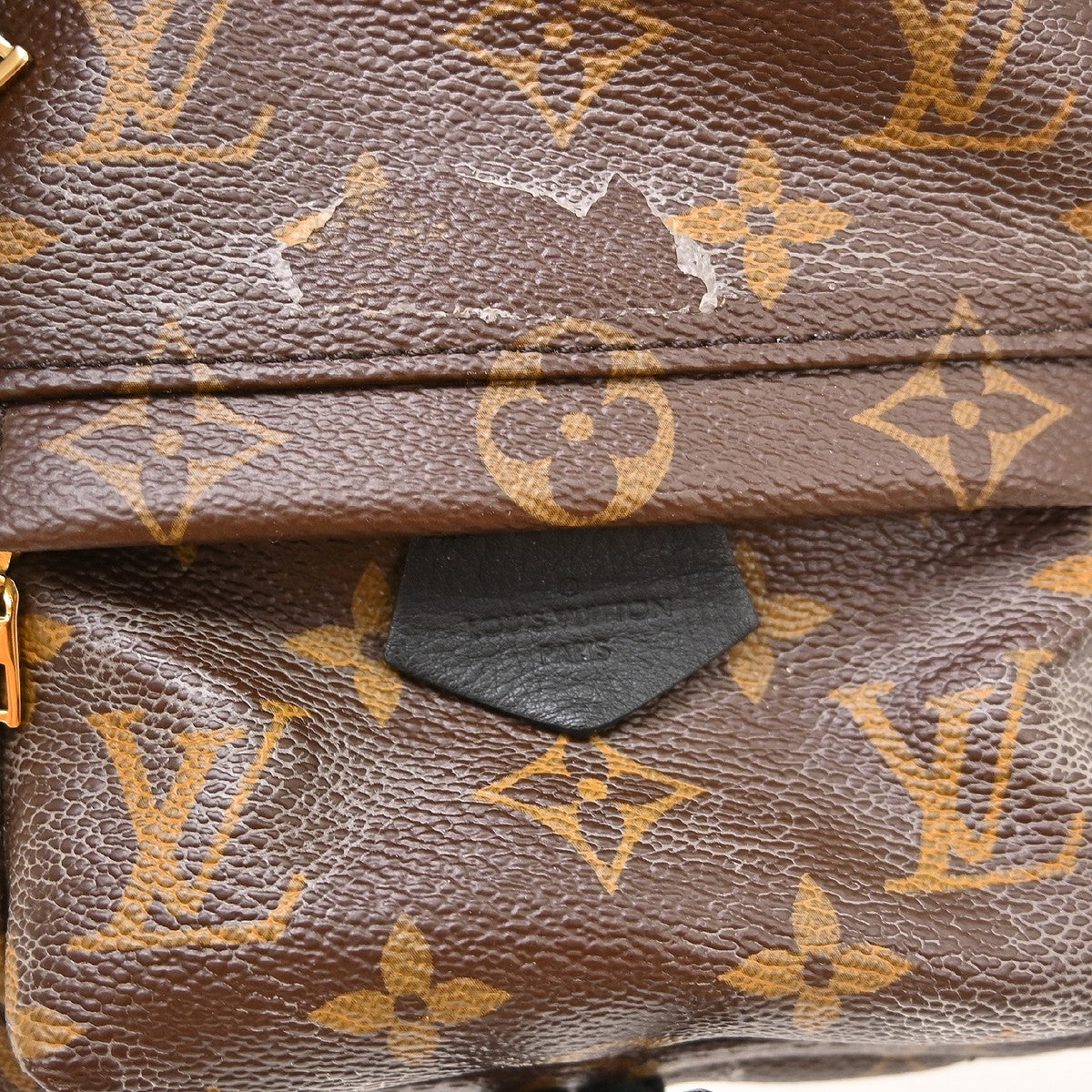 Louis Vuitton Palm Springs Mini Backpack