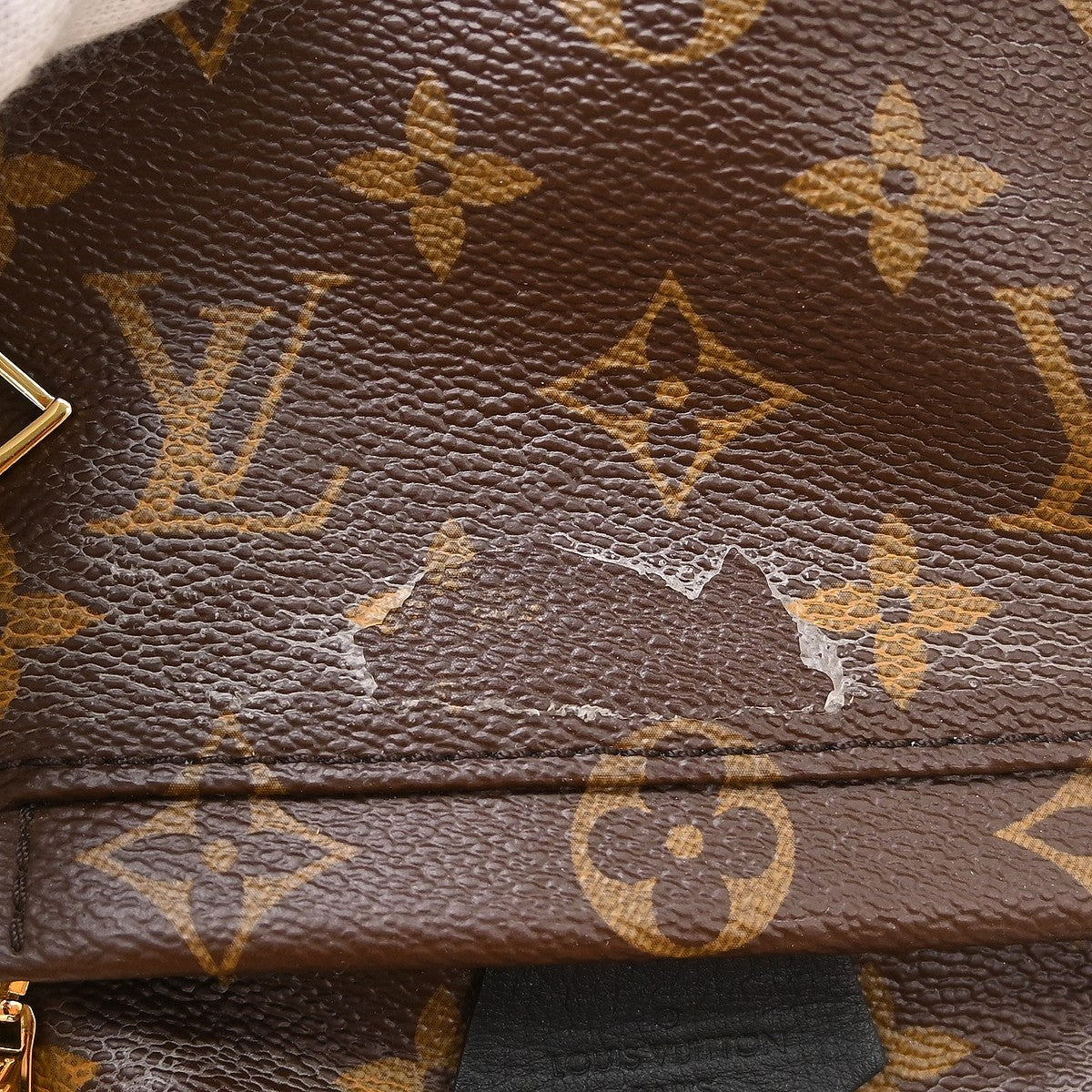 Louis Vuitton Palm Springs Mini Backpack