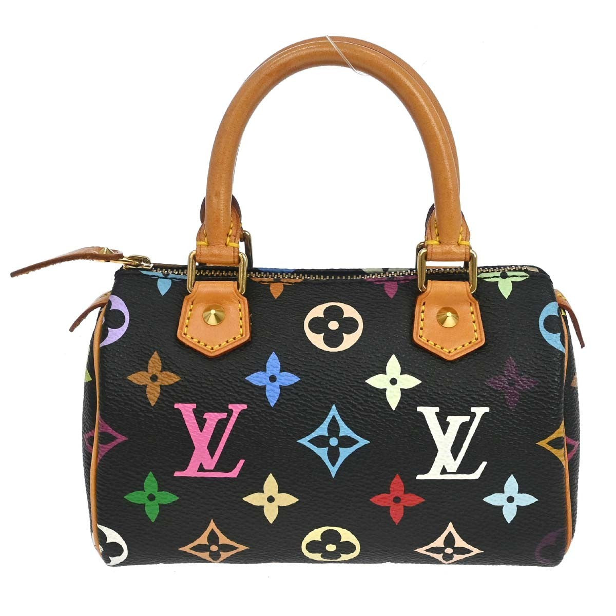 Louis Vuitton Multicolor Mini Speedy Handbag
