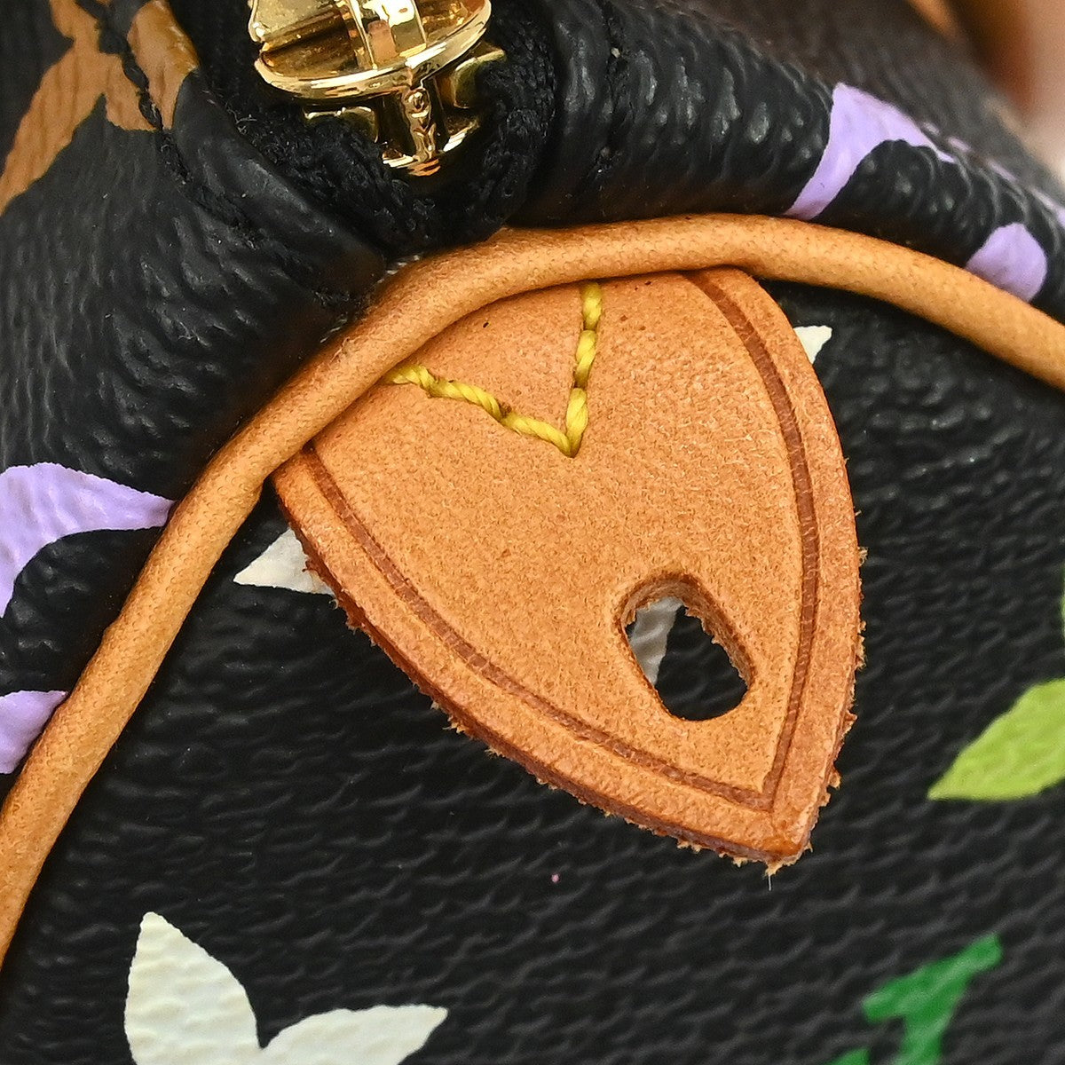 Louis Vuitton Multicolor Mini Speedy Handbag