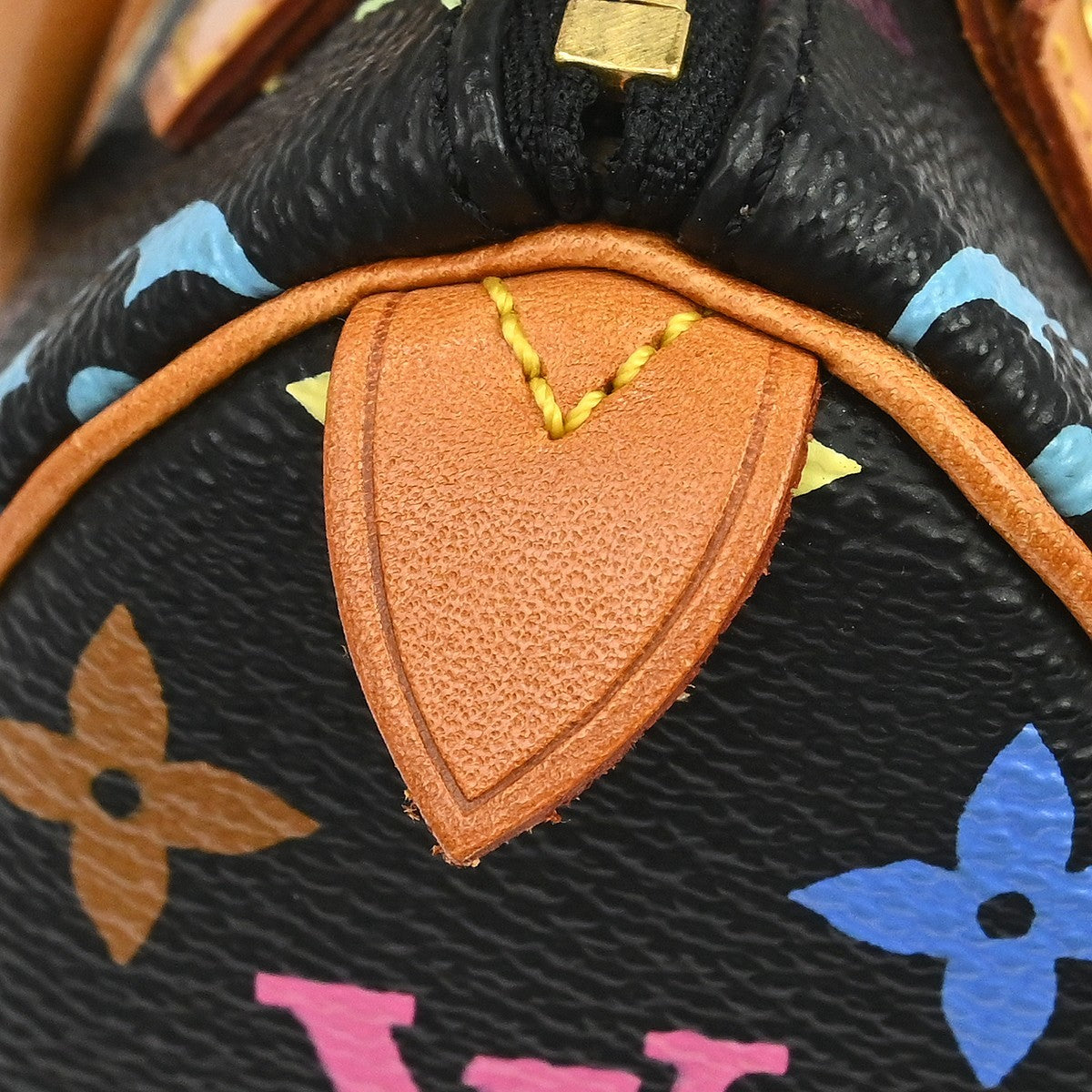 Louis Vuitton Multicolor Mini Speedy Handbag