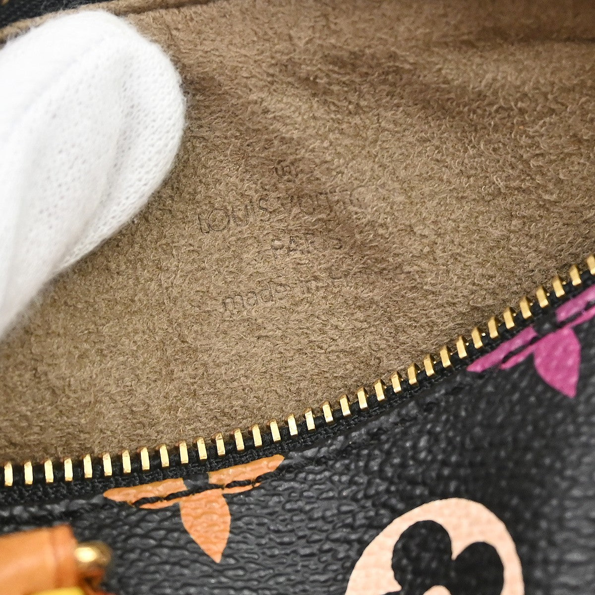 Louis Vuitton Multicolor Mini Speedy Handbag