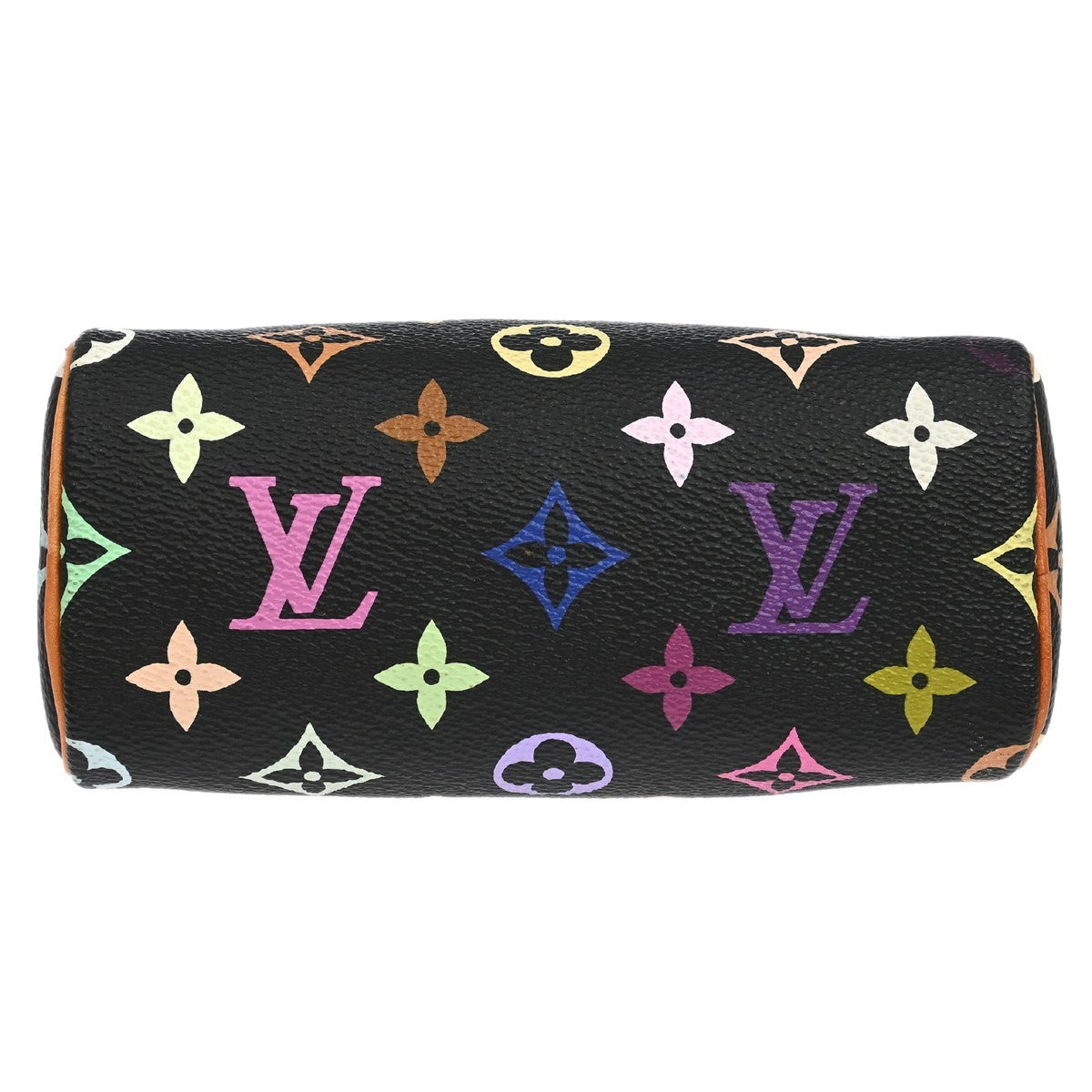 Louis Vuitton Multicolor Mini Speedy Handbag