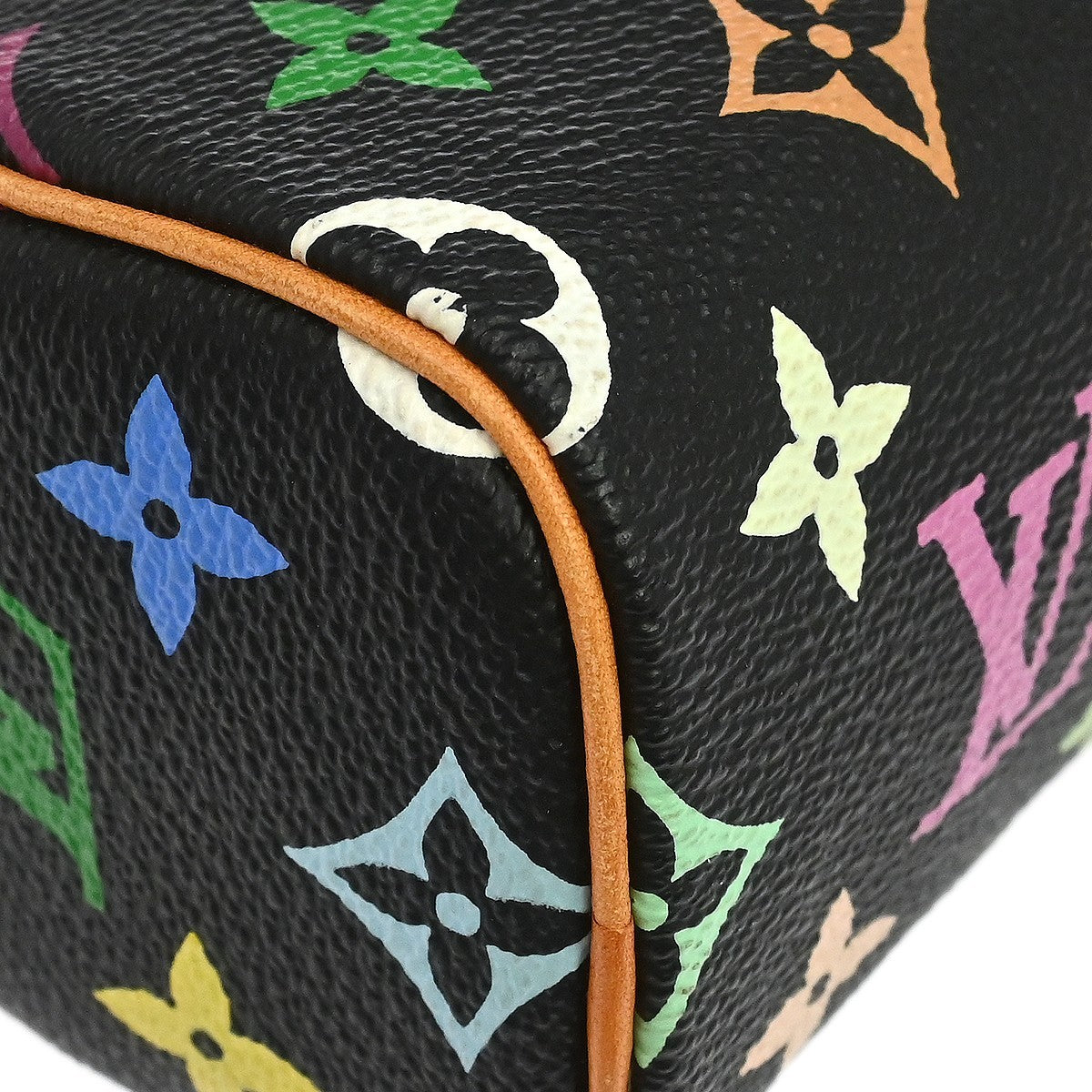 Louis Vuitton Multicolor Mini Speedy Handbag