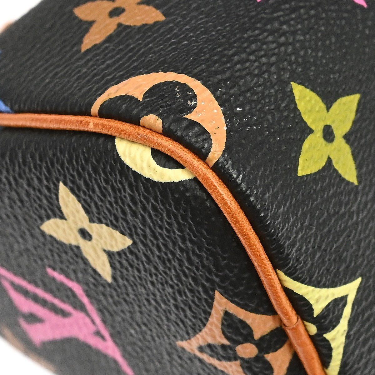 Louis Vuitton Multicolor Mini Speedy Handbag