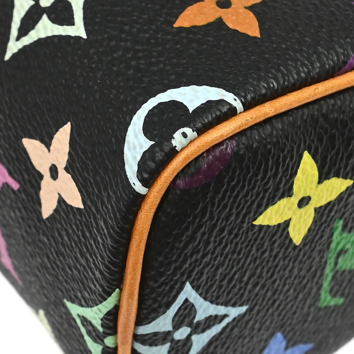 Louis Vuitton Multicolor Mini Speedy Handbag
