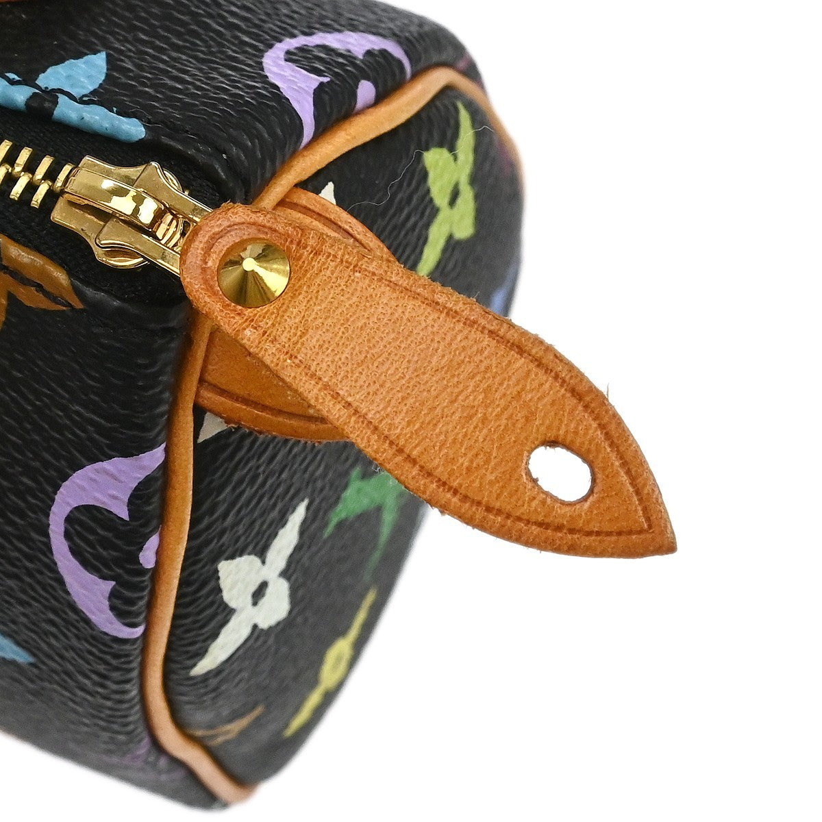 Louis Vuitton Multicolor Mini Speedy Handbag