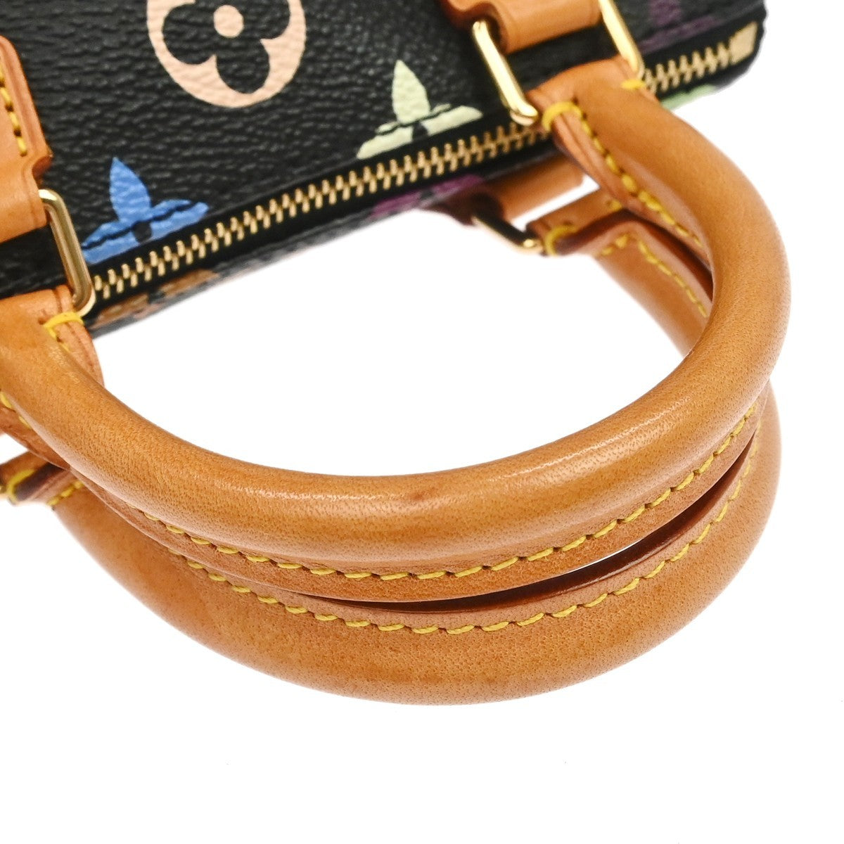 Louis Vuitton Multicolor Mini Speedy Handbag