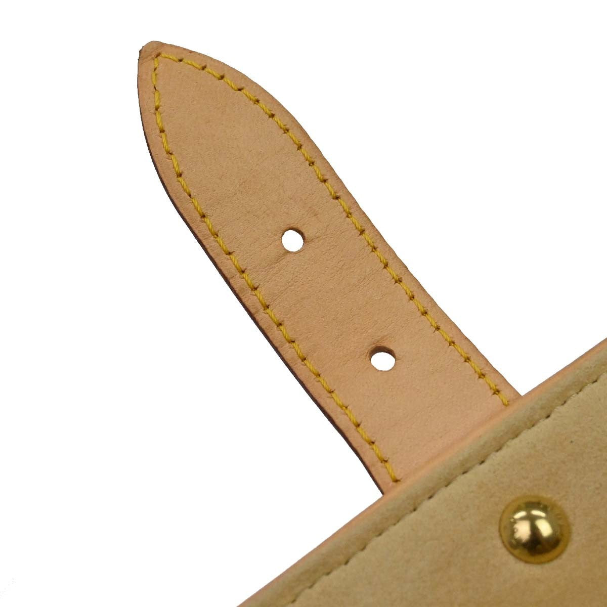 Louis Vuitton Monogram Hudson PM Shoulder Bag