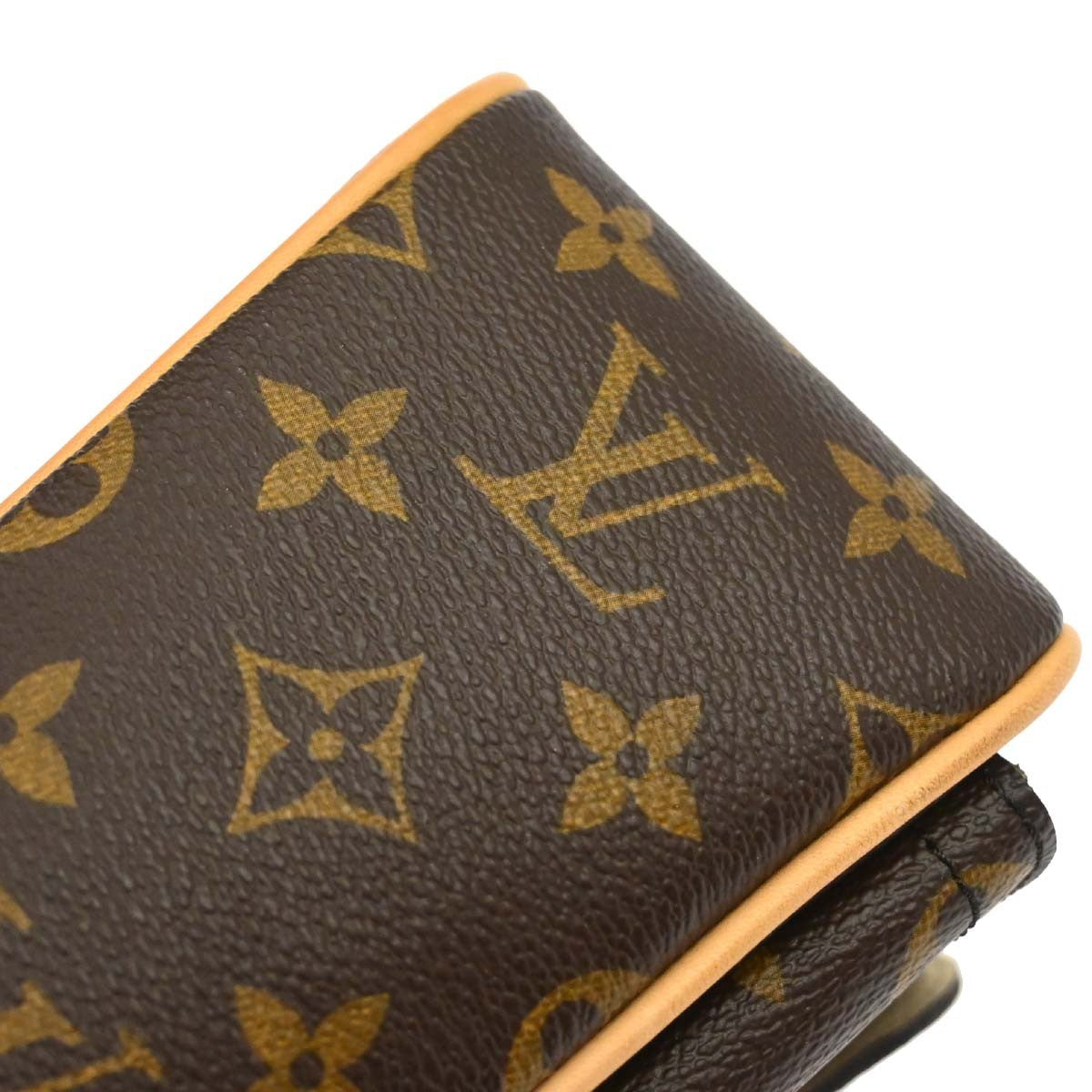 Louis Vuitton Monogram Hudson PM Shoulder Bag