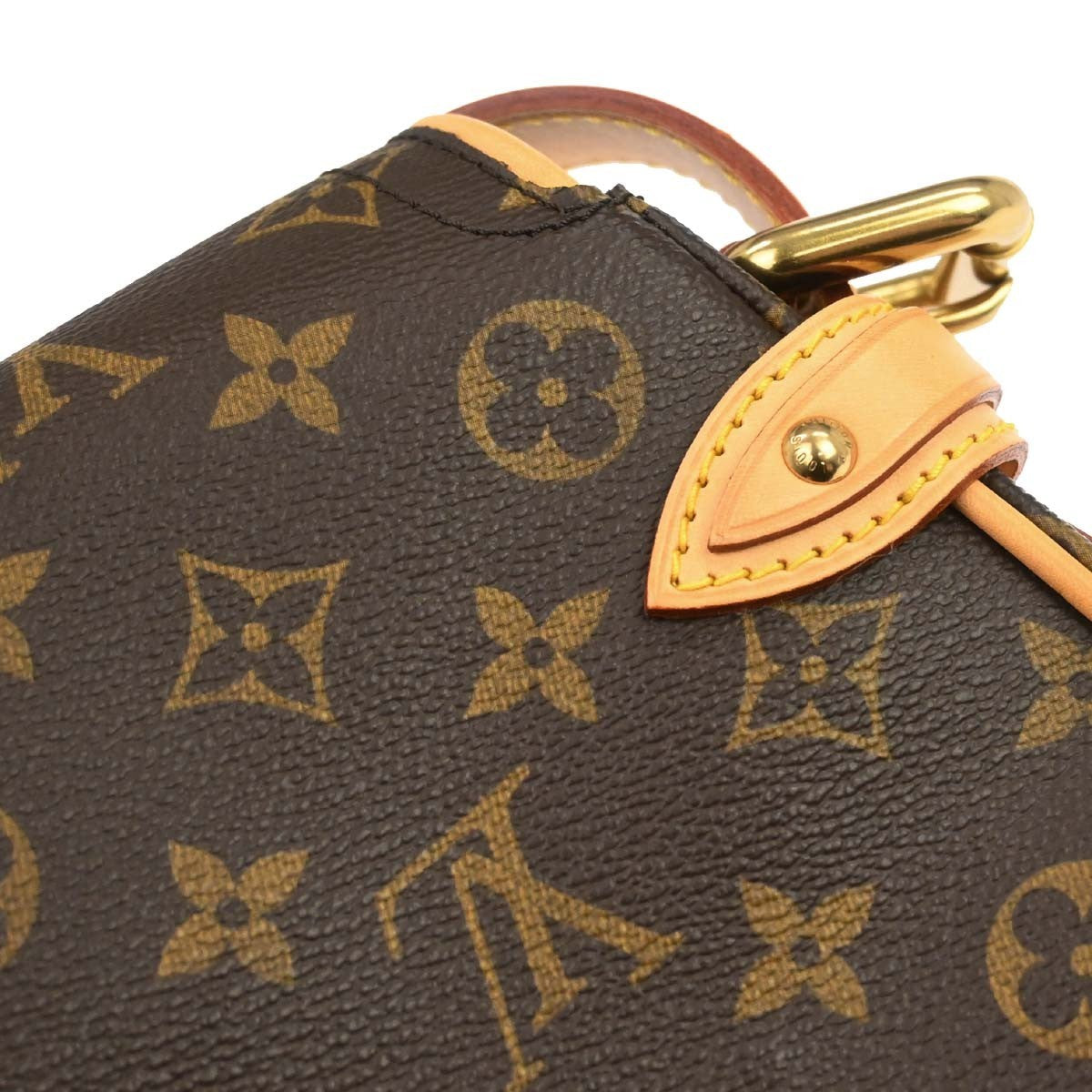 Louis Vuitton Monogram Hudson PM Shoulder Bag