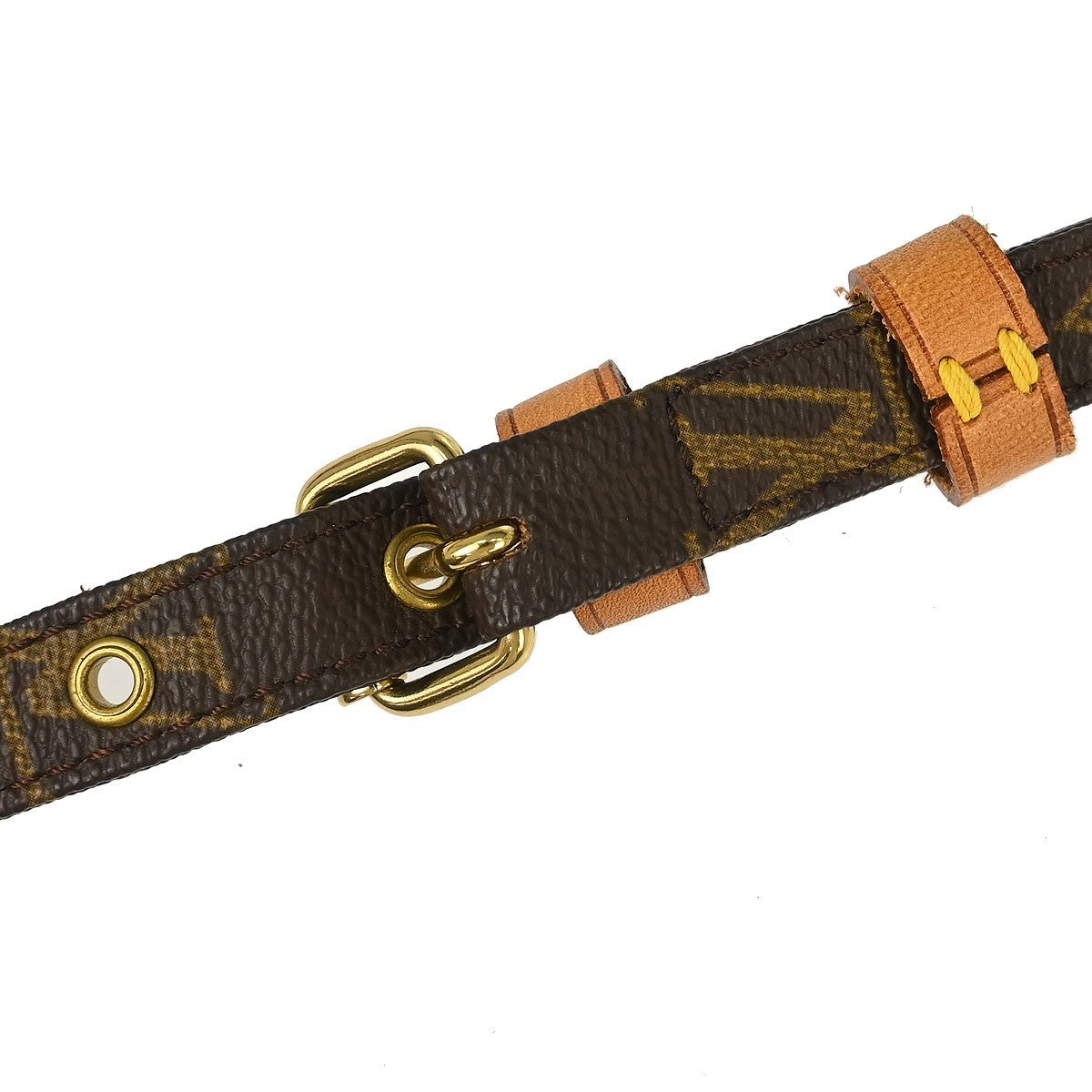 Louis Vuitton Monogram Amazon Crossbody Bag
