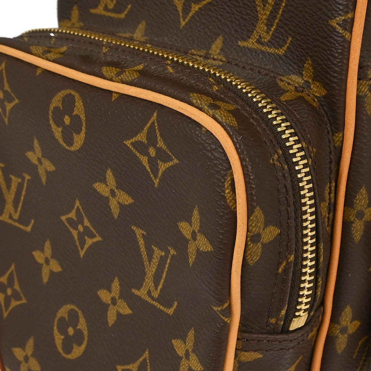 Louis Vuitton Monogram Amazon Crossbody Bag