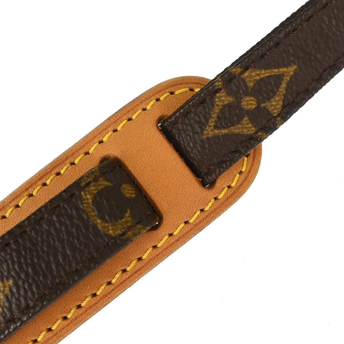 Louis Vuitton Monogram Amazon Crossbody Bag