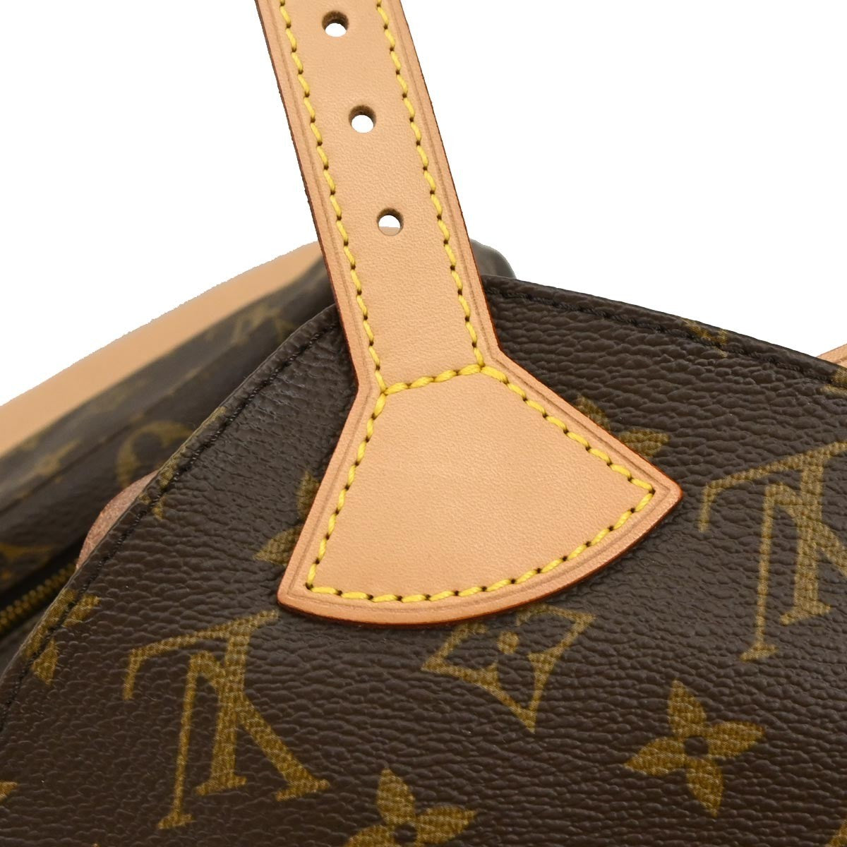 Louis Vuitton Monogram Montsouris MM Backpack