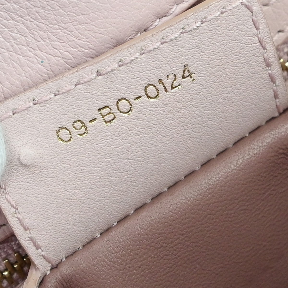 Dior Blush Pink Cannage Large Diorling Shoulder Bag