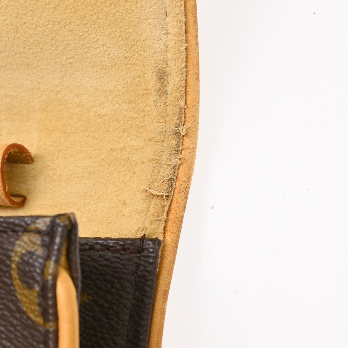 Louis Vuitton Pochette Twin GM Crossbody Bag