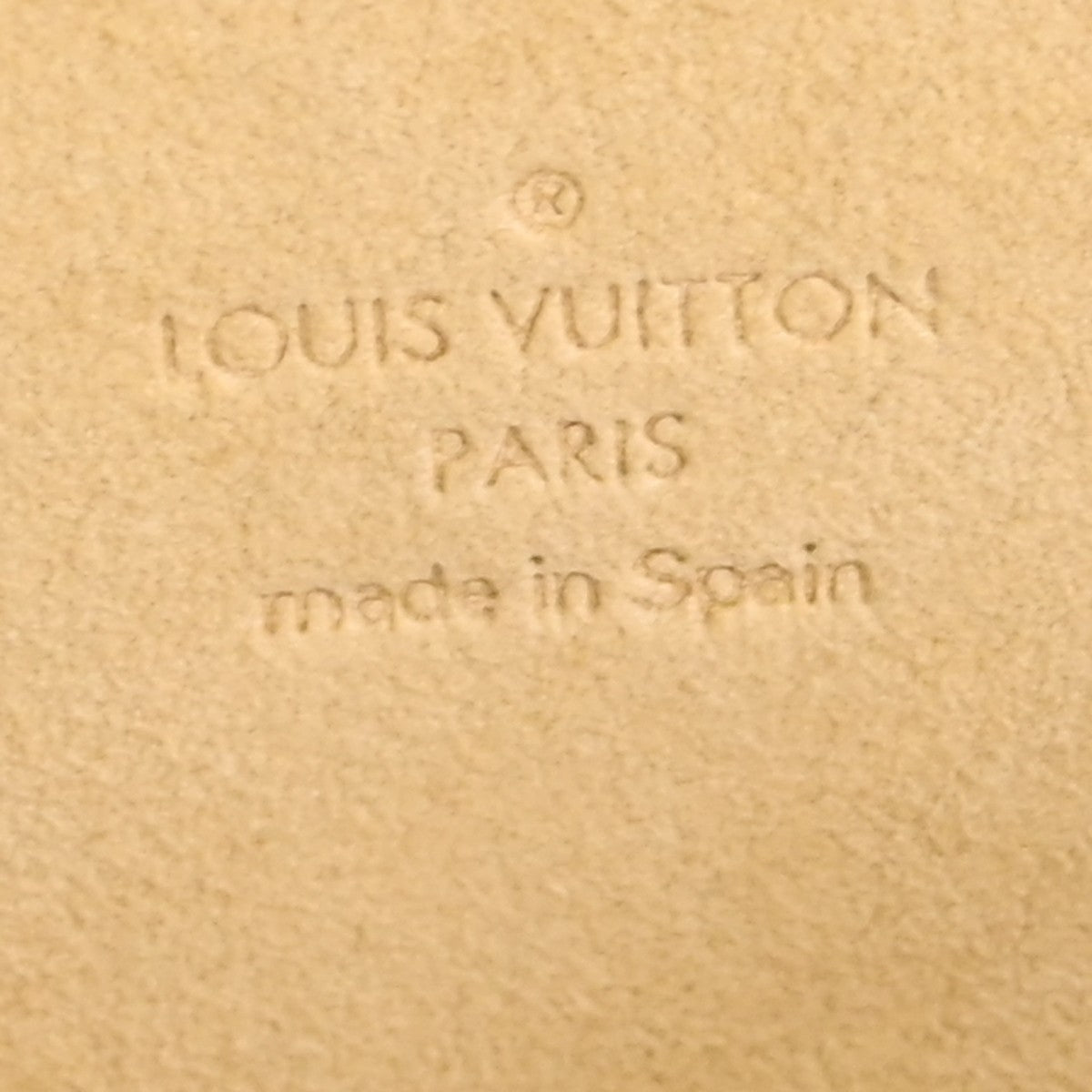 Louis Vuitton Pochette Twin GM Crossbody Bag