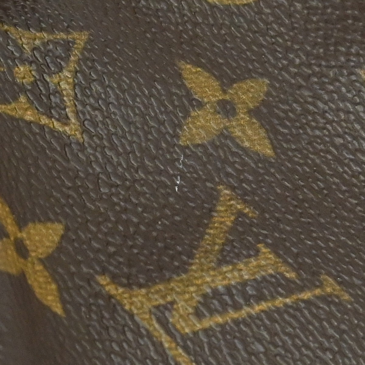 Louis Vuitton Montsouris MM Backpack Bag Monogram