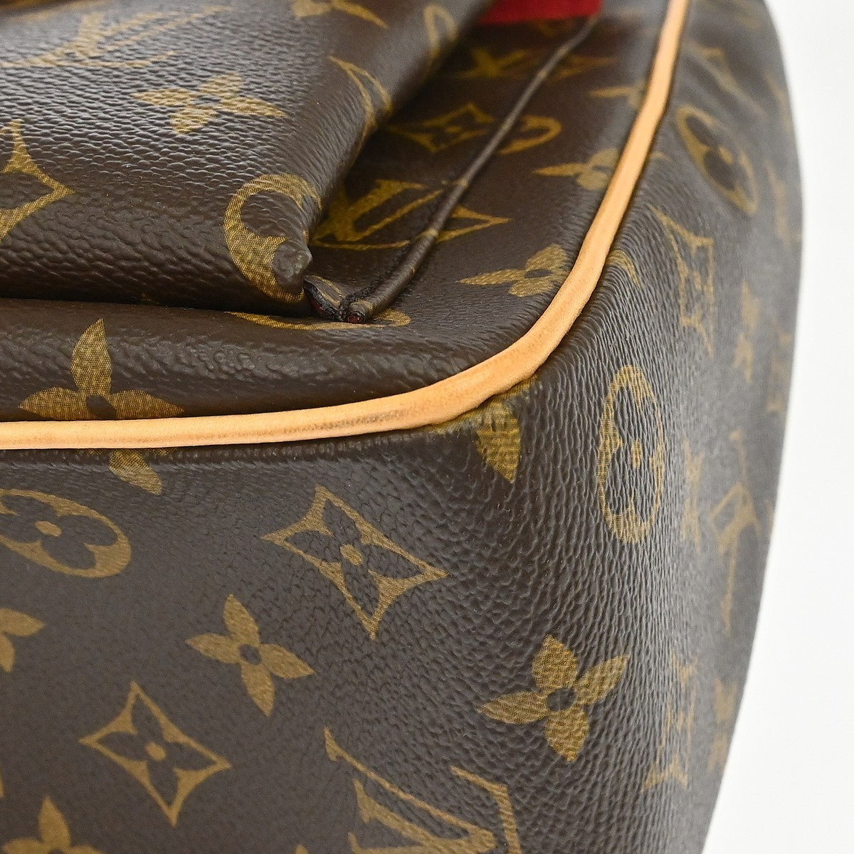 Louis Vuitton Monogram Multipli Cite Handbag
