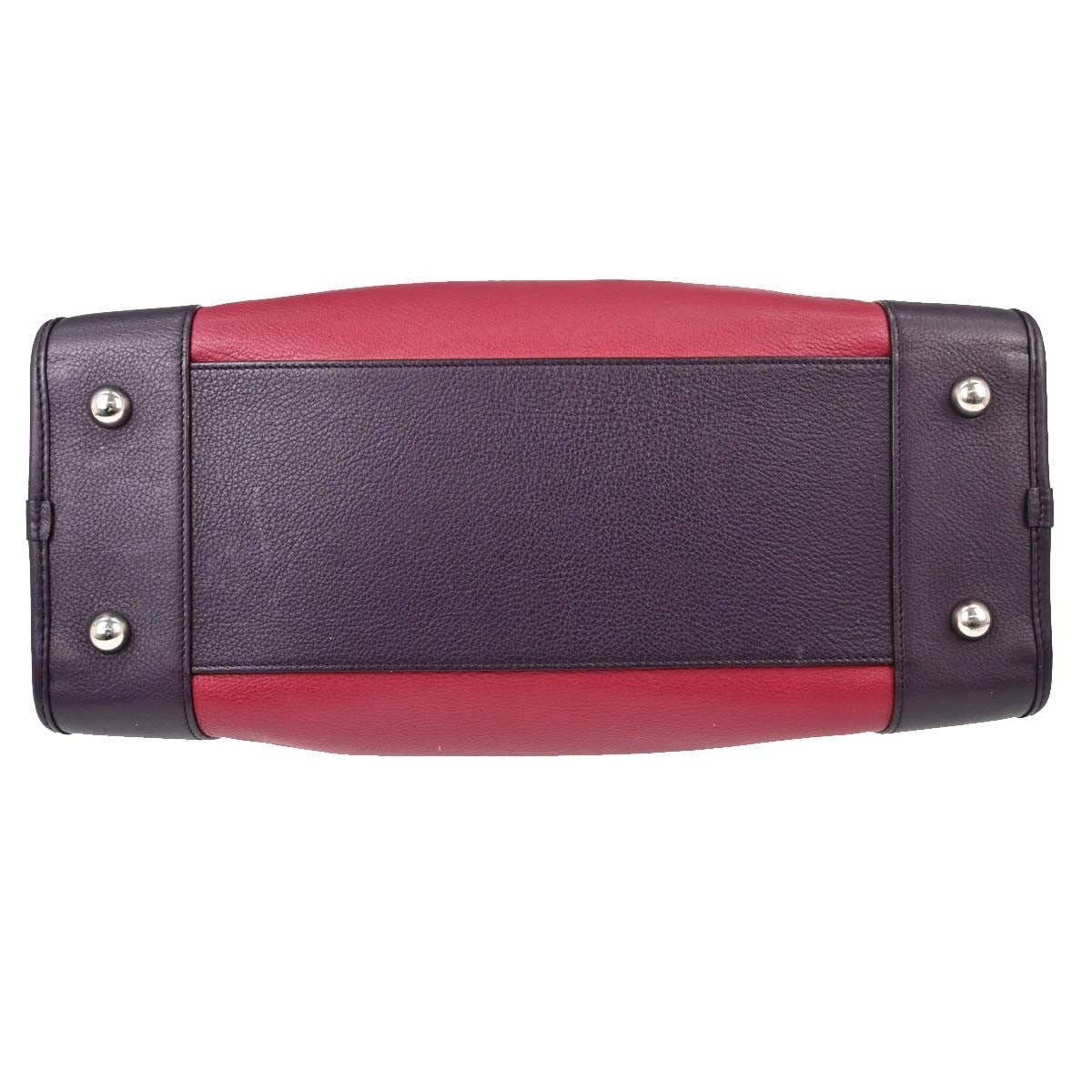 Loewe Tricolor Amazona 36 Handbag