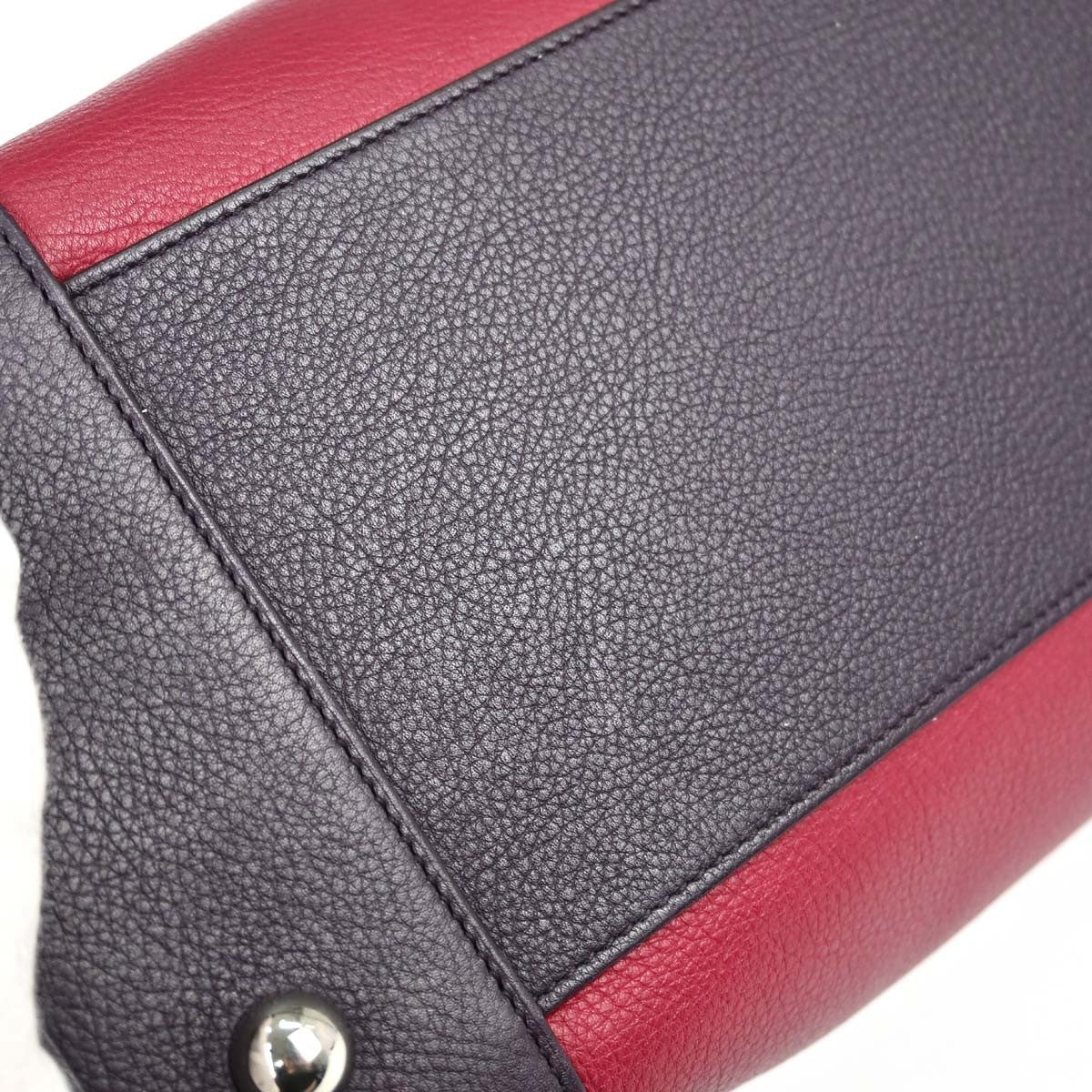 Loewe Tricolor Amazona 36 Handbag