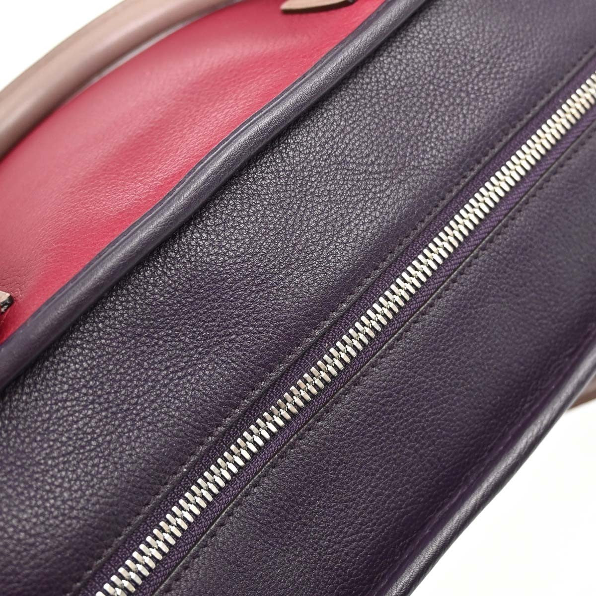 Loewe Tricolor Amazona 36 Handbag